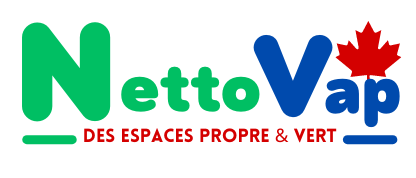 Eco-Friendly Steam Cleaning Services